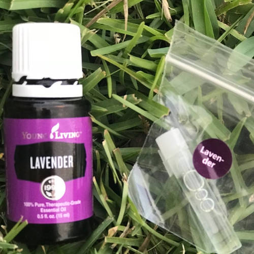 Essential Oil Lavender